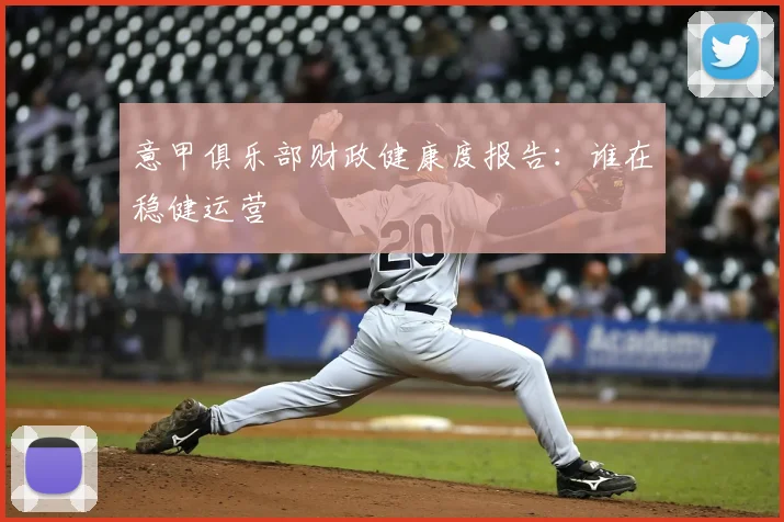 意甲俱乐部财政健康度报告:谁在稳健运营